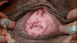 Female textures – Morphing 1 (HD 1080p)(Vagina close up hairy sex pussy)(by rumesco) Video